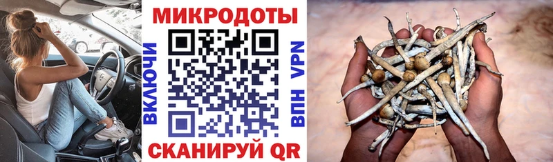 Псилоцибиновые грибы прущие грибы  Балабаново 